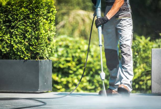 Best Gutter Cleaning  in Pasadena, CA